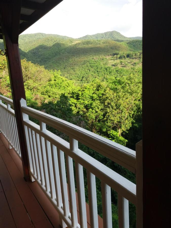 Villa Ponm Kann'L Deshaies Dış mekan fotoğraf